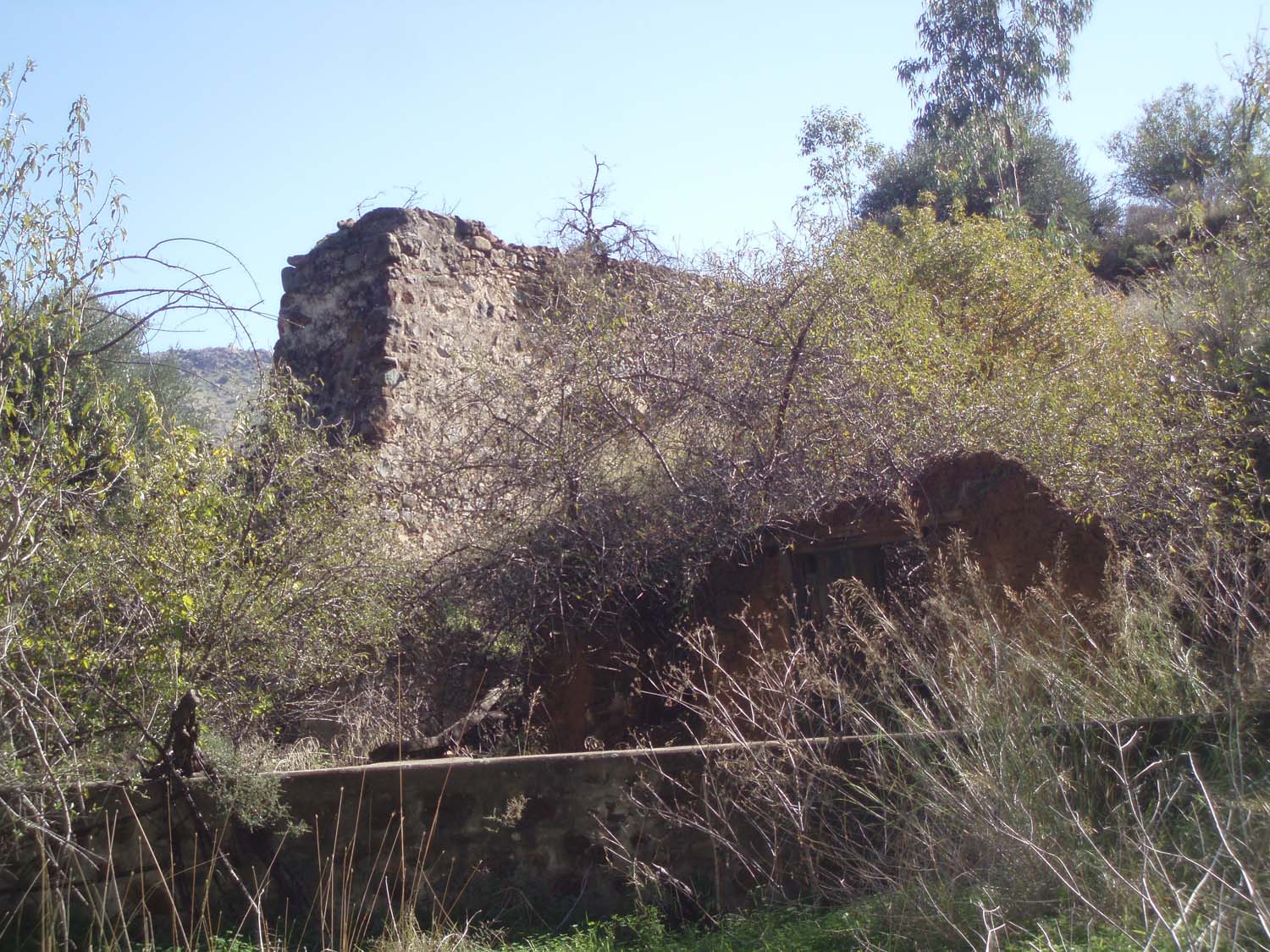 galini_12