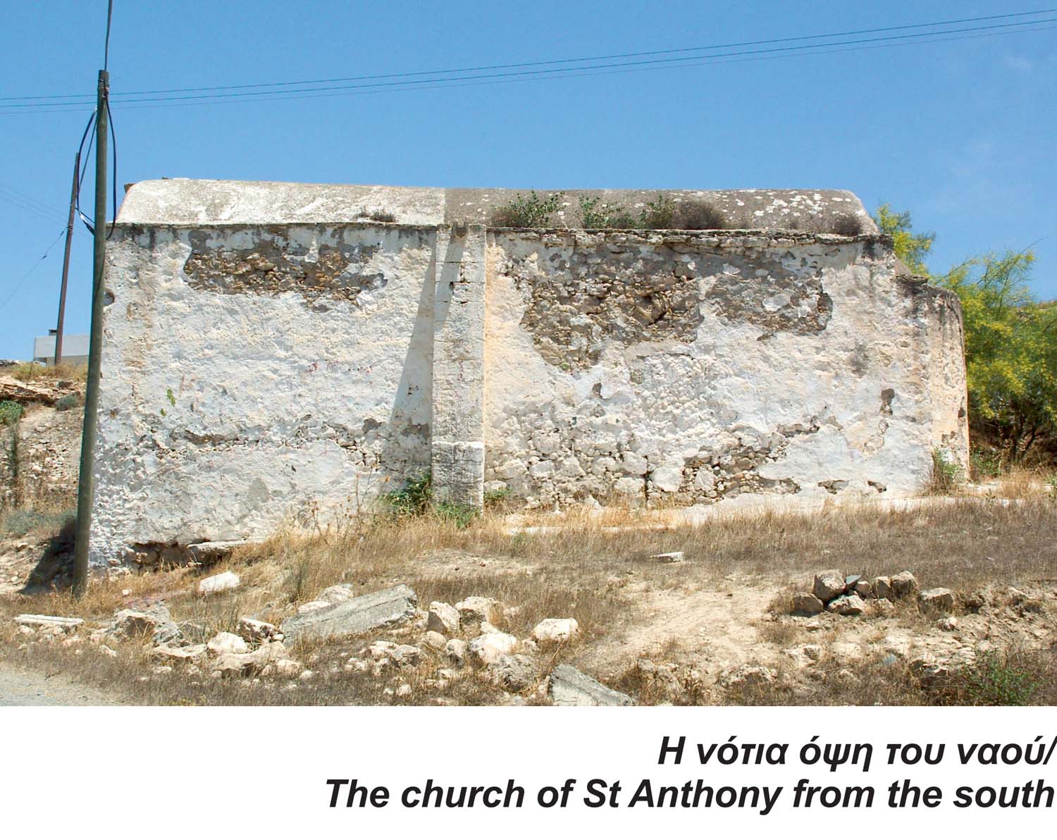 MassariI